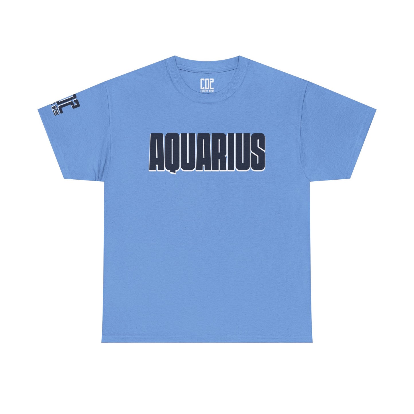 Aquarius Unisex Heavy Cotton Tee, Astrology Shirt, Zodiac Gift, Horoscope Apparel, Birthday Present, Astrology Lovers Tee