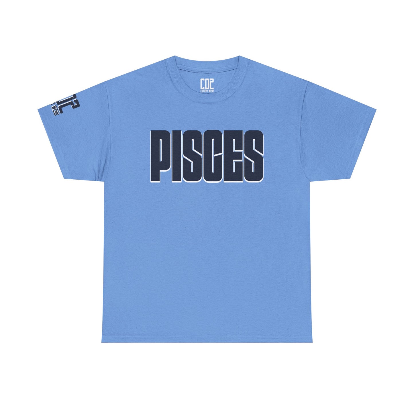 Pisces Zodiac Tee, Astrology Shirt, Unisex Heavy Cotton T-Shirt, Birthday Gift for Pisces, Horoscope Apparel