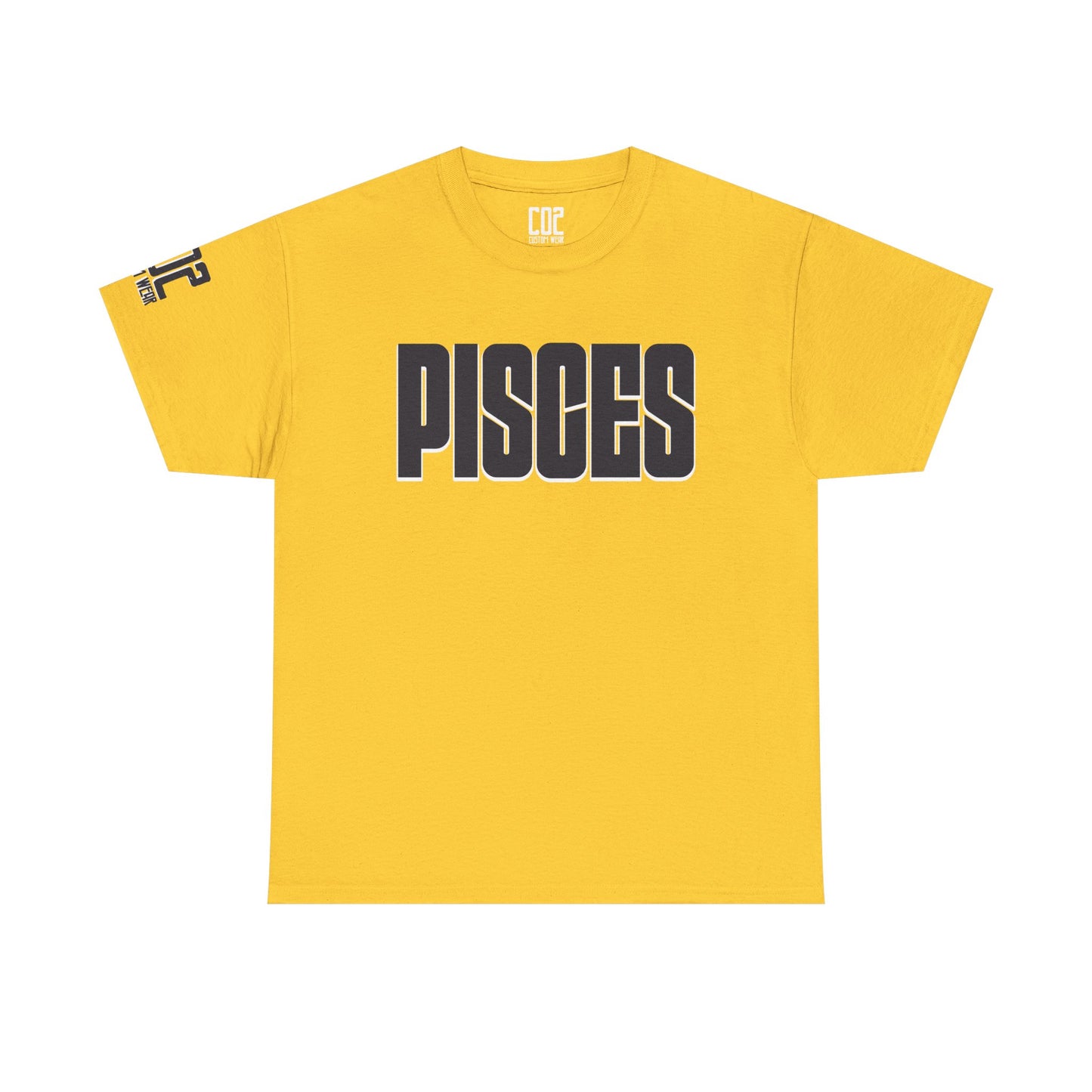 Pisces Zodiac Tee, Astrology Shirt, Unisex Heavy Cotton T-Shirt, Birthday Gift for Pisces, Horoscope Apparel