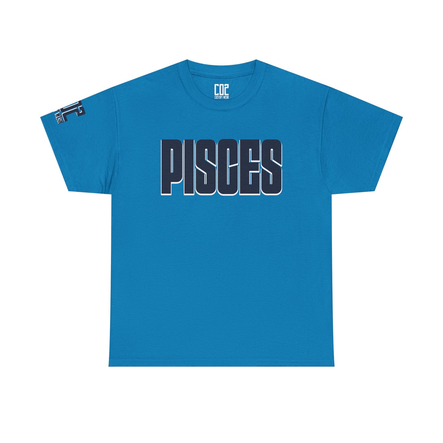 Pisces Zodiac Tee, Astrology Shirt, Unisex Heavy Cotton T-Shirt, Birthday Gift for Pisces, Horoscope Apparel