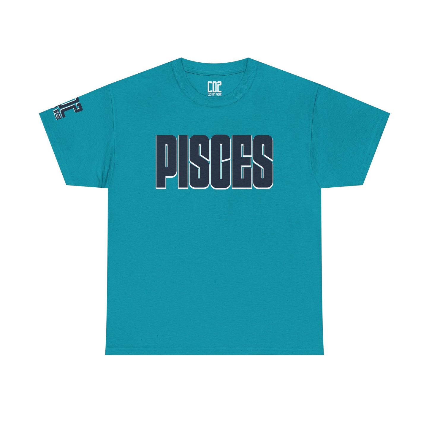 Pisces Zodiac Tee, Astrology Shirt, Unisex Heavy Cotton T-Shirt, Birthday Gift for Pisces, Horoscope Apparel