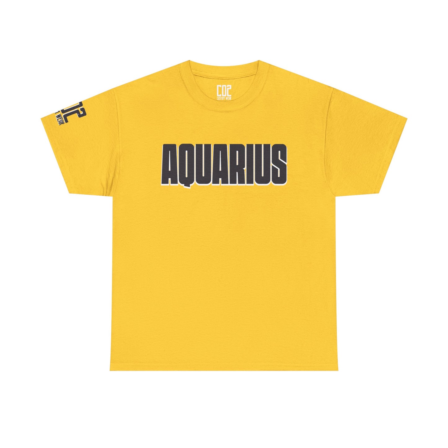 Aquarius Unisex Heavy Cotton Tee, Astrology Shirt, Zodiac Gift, Horoscope Apparel, Birthday Present, Astrology Lovers Tee