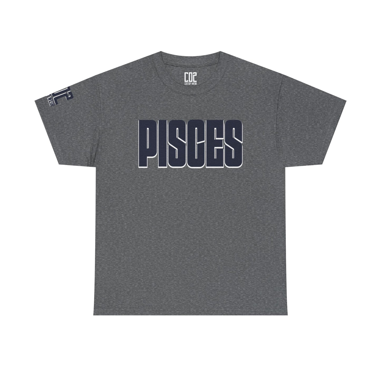 Pisces Zodiac Tee, Astrology Shirt, Unisex Heavy Cotton T-Shirt, Birthday Gift for Pisces, Horoscope Apparel